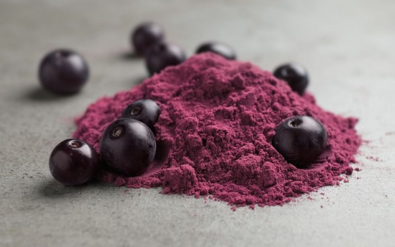 Kara Mürver'in Gücü: Bağışıklık Desteği, Antioksidan Özellikler ve Genel Sağlık